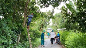 Người dân Lai Vung dọn đường sá đón ông Bảy trở về