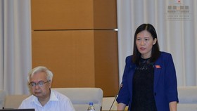 Chủ nhiệm Ủy ban Tư pháp Lê Thị Nga phát biểu tại phiên họp