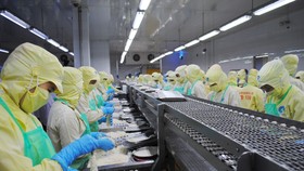 Ngành tôm phấn đấu đến năm 2025 đạt mục tiêu xuất khẩu 10 tỷ USD