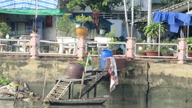 Tái ô nhiễm dự án “lá phổi xanh”