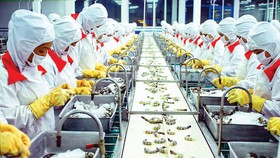 Cán cân xuất nhập khẩu: Xuất siêu, nhập siêu phụ thuộc vào đâu?