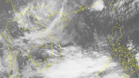 Bão số 11 đã suy yếu
