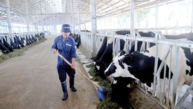 Thực phẩm hữu cơ - ai bảo chứng?