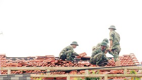 Khôi phục nhịp sống