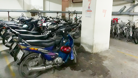 Diệt muỗi ở cao ốc A chung cư Ngô Gia Tự