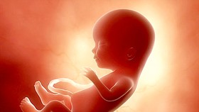 Trẻ trước khi sinh đã có thể phân biệt ngôn ngữ