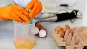 Kiểm tra trứng nhiễm thuốc trừ sâu. Ảnh: REUTERS