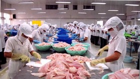Đề xuất giảm phí thực phẩm thủy sản xuất khẩu