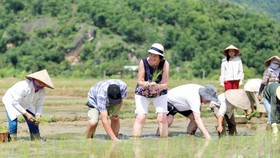 Để du lịch phát triển bền vững cần nâng cao tính chuyên nghiệp từ cơ quan quản lý, doanh nghiệp tới cộng đồng