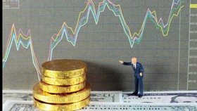 Các website đầu tư tài chính được giới môi giới chào hàng với lợi nhuận siêu tưởng