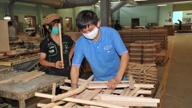 TTF đối mặt nguy cơ hủy niêm yết bắt buộc