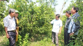 Nông dân gặp khó vay vốn và bao tiêu sản phẩm