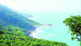 Một góc phía Bắc bán đảo Sơn Trà