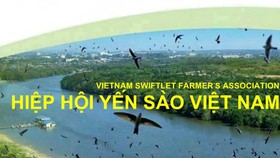 Ông Phạm Thế Ruân được bầu làm Chủ tịch Hiệp hội Yến sào Việt Nam