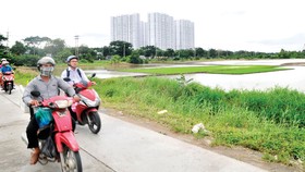 Đất nông nghiệp chỉ đóng góp 0,58% GRDP của TPHCM Ảnh: CAO THĂNG