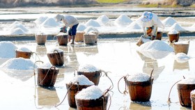 Diêm dân sản xuất muối tại Cần Giờ . Ảnh: THANH HẢI