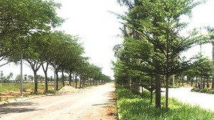 A new residential area is set up in Cu Chi District (Photo: SGGP)