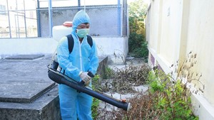 Da Nang steps up measures against dengue fever