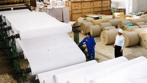 Capital shortage has been a headache for local paper manufacturers (Photo: VNA)