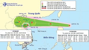 The direction of tropical low-pressure
