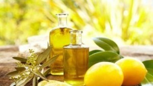 Cajeput (Tram) oil is good for relieving cough, sore throat, burns and aches. It can be used on sensitive skin and infants (Photo: tinhdautramhue.com)