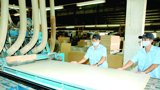 A wood processing plant (Photo: SGGP)