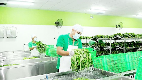 Kết nối chuỗi sản xuất - tiêu dùng thực phẩm sạch