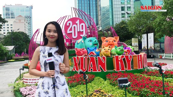 Đường hoa tết Kỷ Hợi 2019: Ngày xuân khoe sắc…