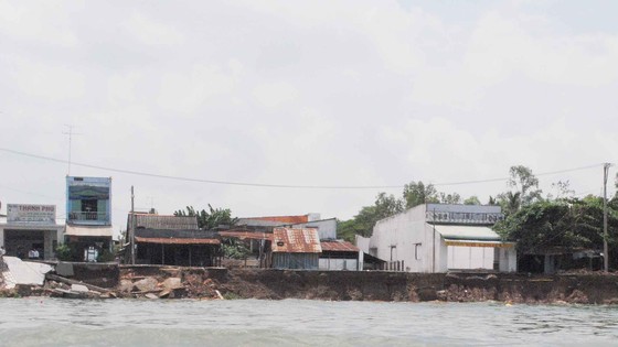 Vụ sạt lở ở Mỹ Hội Đông ngày 22-4 nhấn chìm 16 căn nhà. Ảnh: NHƯ NGUYỄN