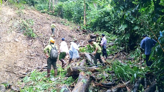 “Nếm mật, nằm gai” truy quét lâm tặc