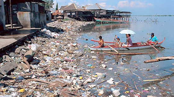 Đại dương kêu cứu