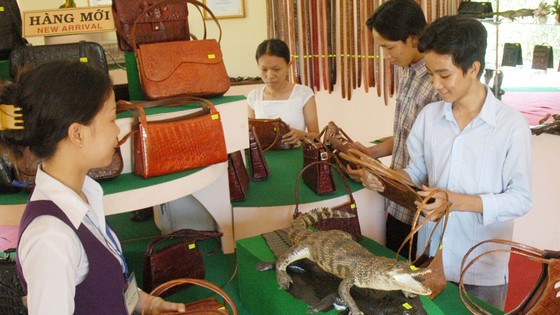 Khách hàng mua sản phẩm sản xuất trong nước . Ảnh: CAO THĂNG