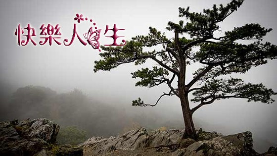 (示意圖源:互聯網)