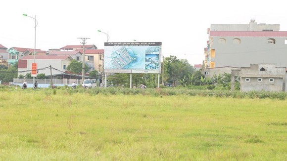 Bình Phước: Thu hồi đất của dự án Trường Đại học Á Châu
