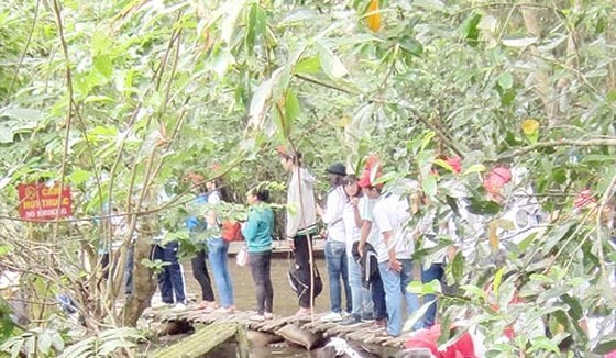 Students visit Xeo Quyt in Dong Thap province Photo: SGGP