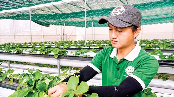NNCNC dù có nhiều chính sách hỗ trợ nhưng để tiếp cận vốn không hề dễ, nên cửa hẹp với doanh nghiệp khởi nghiệp