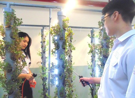 Tenth-graded students in Le Quy Don High School are taking care of plants using aeroponics technology in the project ‘Air Quality Improvement for Basement Parking Lot’
