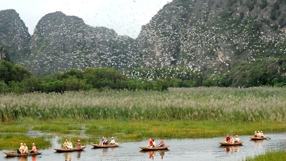 Scene at the Van Long Wetland Nature Reserve (Photo: sodulich.ninhbinh.gov.vn)