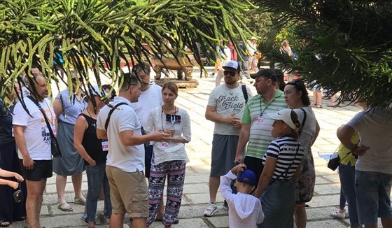 travel agents which employ foreign guide in Vietnam or use fake tourist guide card or its tourist guides providing wrong information distorting history and the country’s sovereignty will be fined VND90 million (Photo: SGGP)