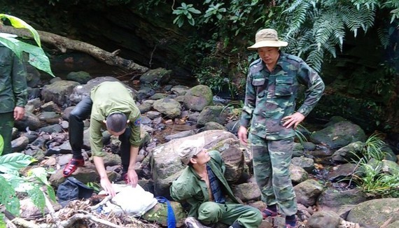 The illegal hunter is arrested (Photo: SGGP)