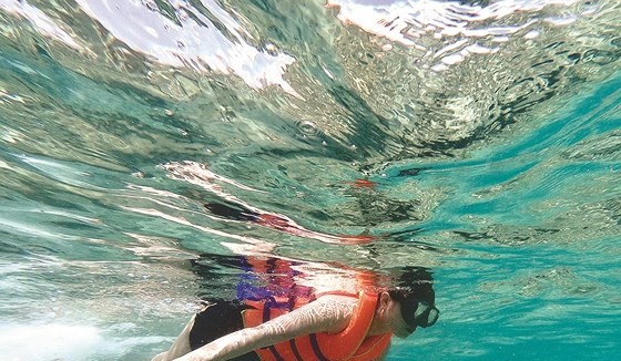Tourists experience diving and seeing coral at Dam Trau beach.