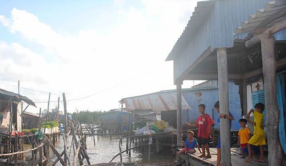 Vam Xoay Estuary is an extreme erosion hotspot of Ca Mau province