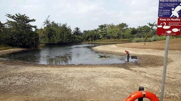 Low water levels are recorded in ponds, rivers in Singapore (Source: straitstimes)
