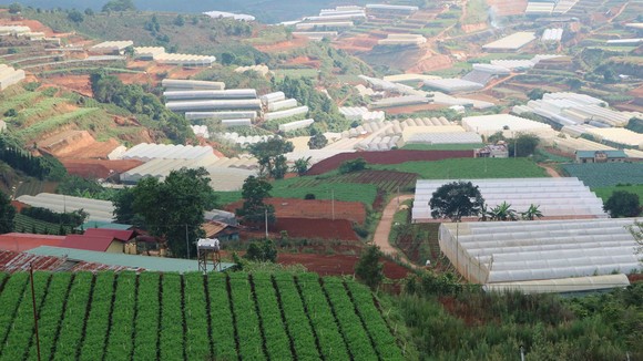 TP Đà Lạt xây dựng thí điểm “Làng đô thị xanh” tại xã Xuân Thọ