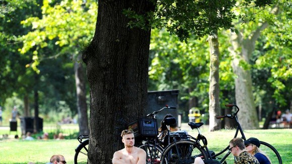 People in the Netherlands have a better shot at upward social mobility than Americans, by one metric. Reuters