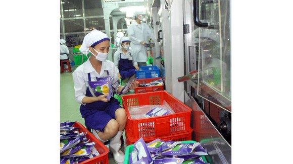 Chế biến mít xuất khẩu tại một đơn vị. Ảnh: THÀNH TRÍ