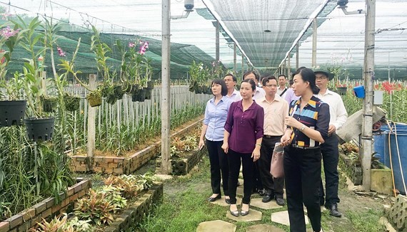 Vườn lan của HTX Hoa lan Huyền Thoại được lựa chọn thí điểm từ nhiều năm qua, nhưng vẫn chưa thu hút nhiều du khách