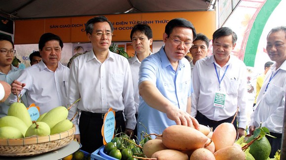 Phó Thủ tướng Vương Đình Huệ xem các sản phẩm nông nghiệp ở ĐBSCL
