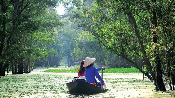 Tra Su melaleuca forest in An Giang province (Source: VNA)