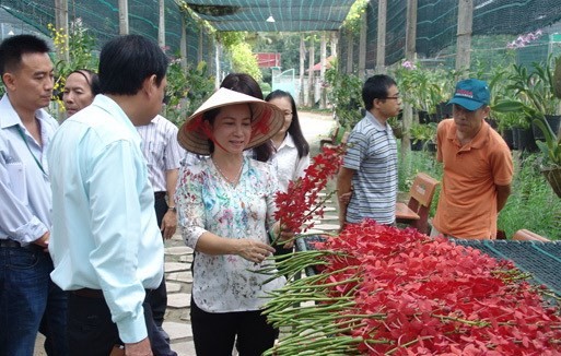 Director of the Huyen Thoai Orchid Cooperative, Dang Le Thi Thanh Huyen, presents orchids from her garden at Huyen Thoai Orchid Cooperative in An Nhon Tay commune in HCM City’s Cu Chi district (Photo: VNA)
